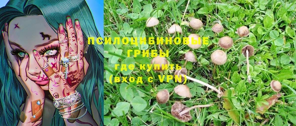 прущая мука Богородицк