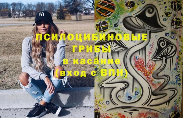 прущая мука Богородицк